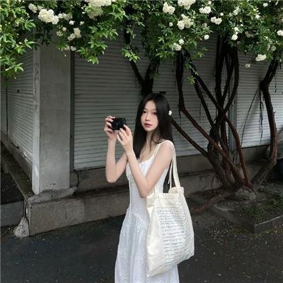 画之国