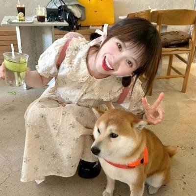 消失的收藏家