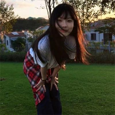完美拍档2017