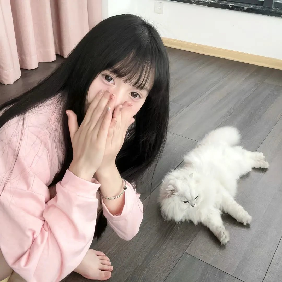 九个完美陌生人第一季
